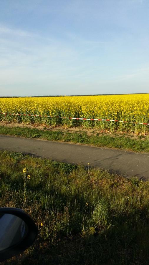 Natur-Freude-19P Kotzen エクステリア 写真